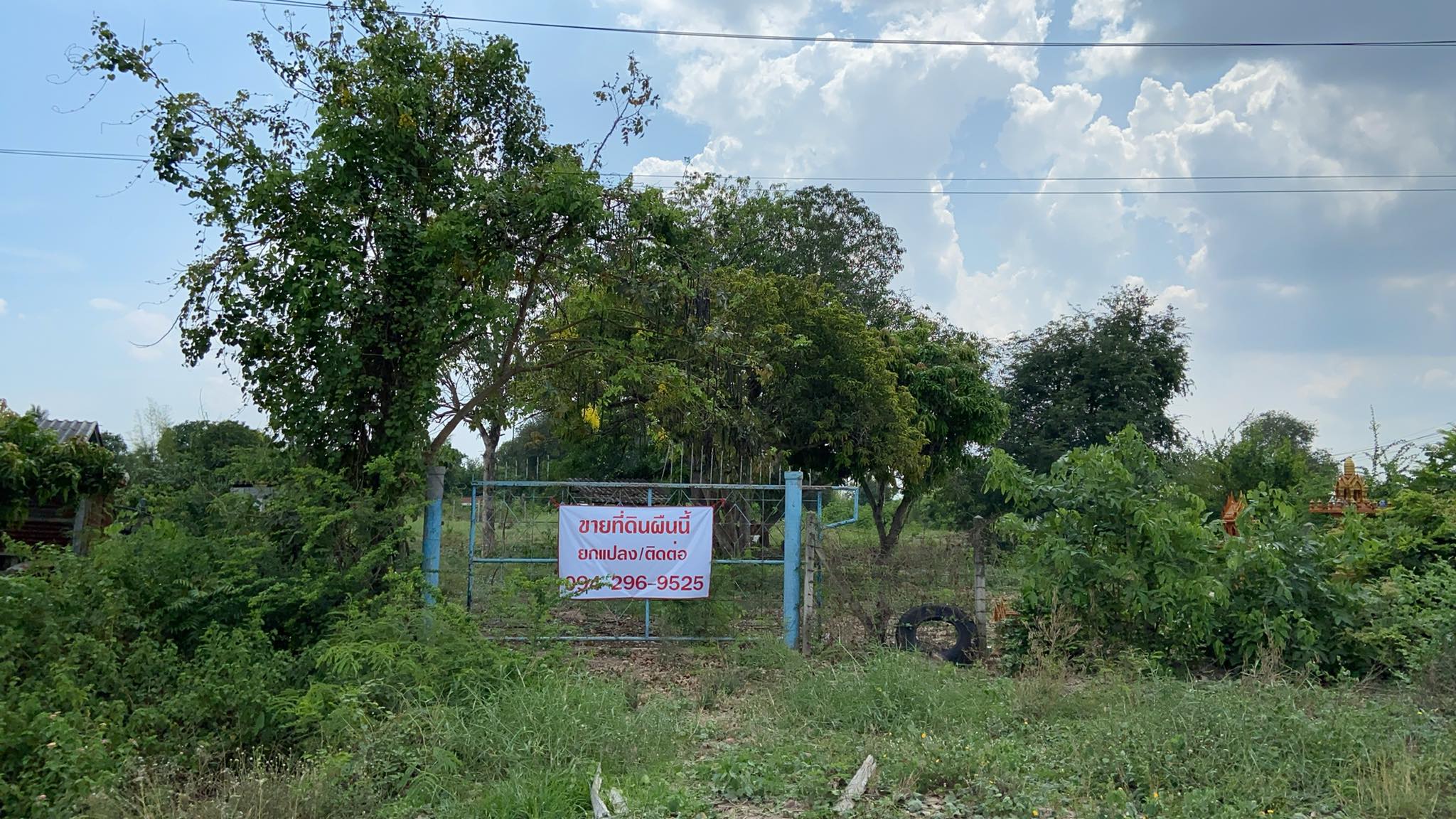 ขาย​ที่ดิน​แปลง​เล็ก​สำหรับ​ป​ลูกบ้าน​พักอาศัย 1-3-12 ไร่
