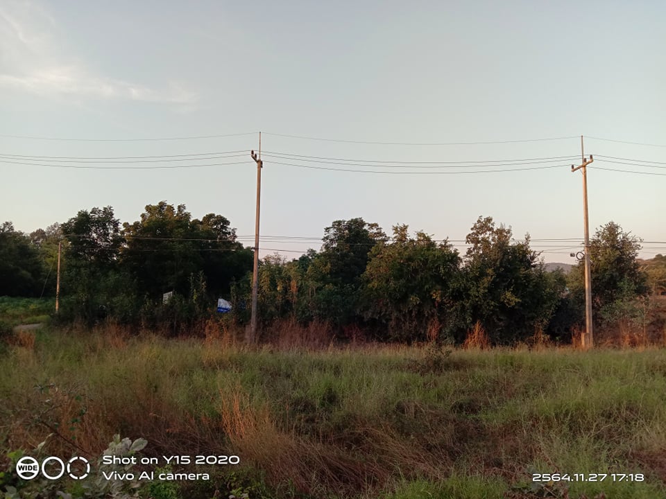ที่ดินเปล่าบ้านโค้งลำสนธิ ลพบุรี 2-0-24