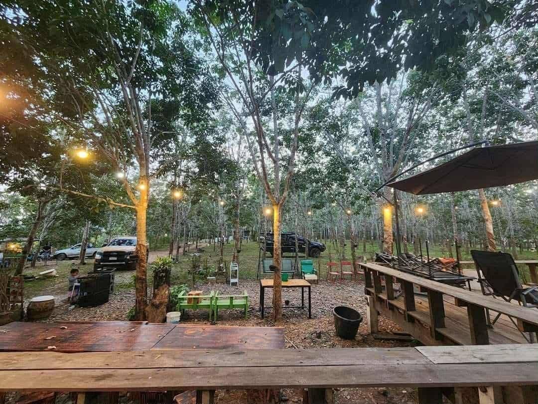 ขายที่ดิน พร้อมสวนยางพารา/บ้านพัก ใน เชียงคาน , เชียงคาน , เลย