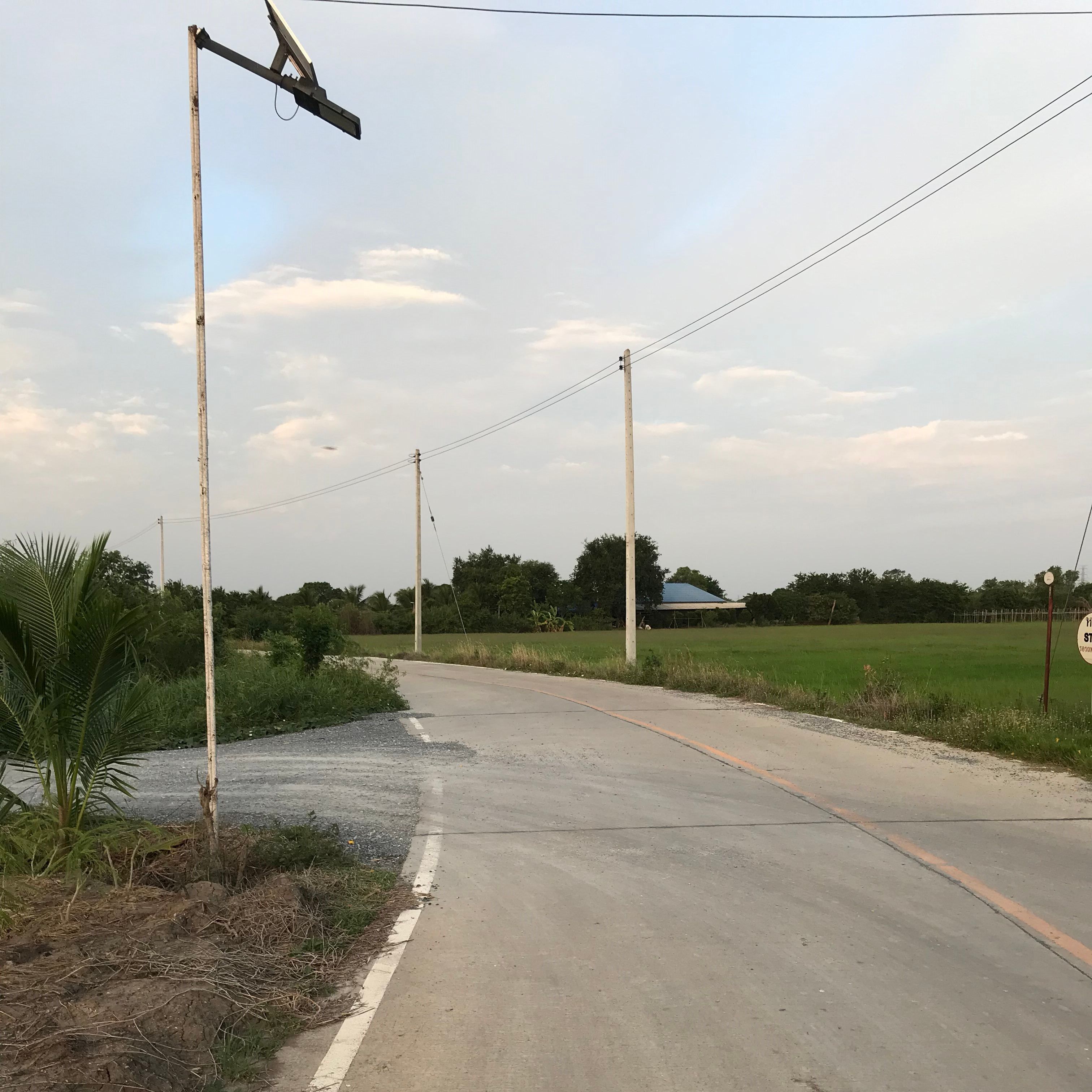ขายที่ดินเปล่าพื้นนา