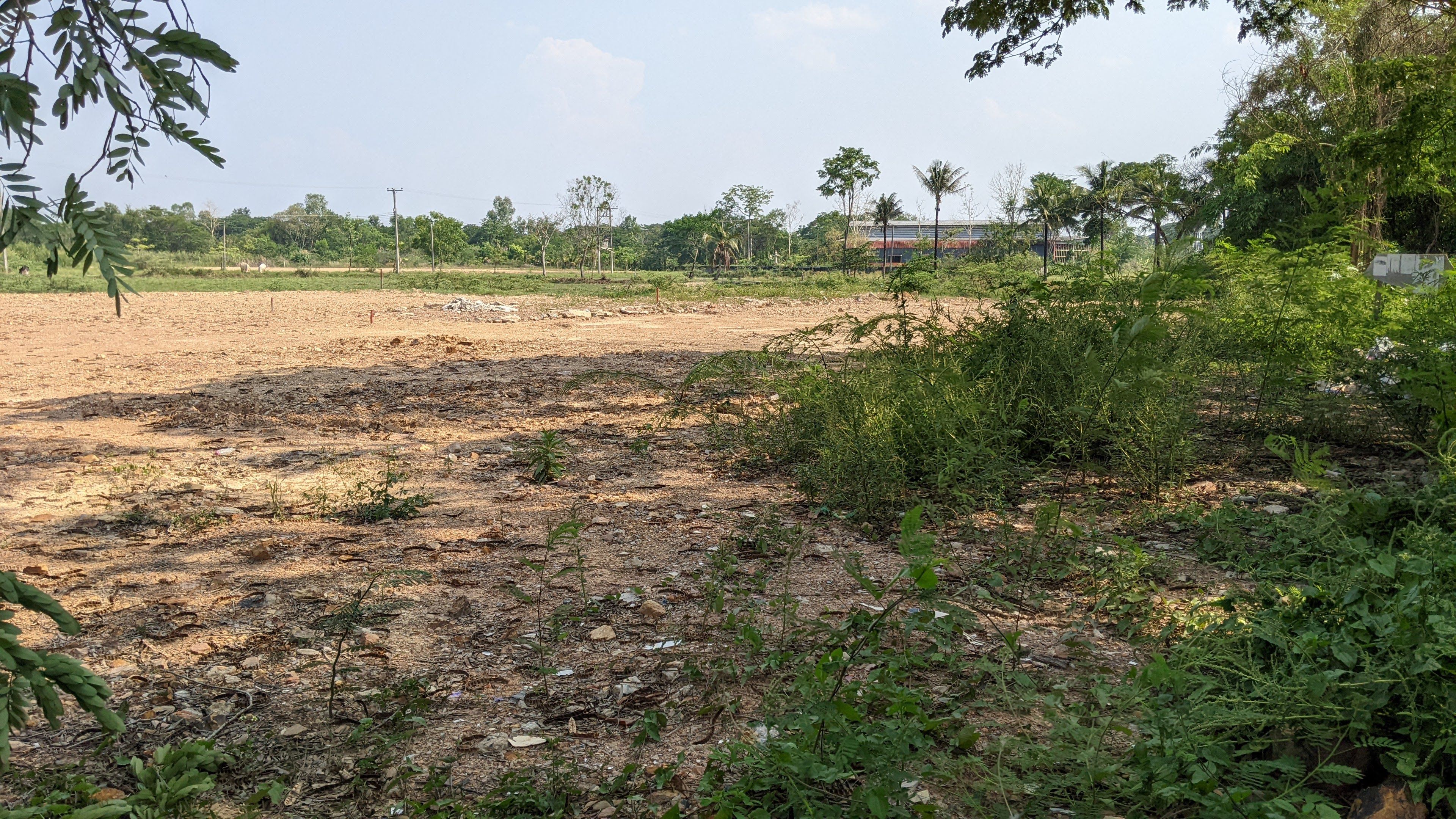 Land for Sale Near Maejo University - Ready to Build in San Sai 
