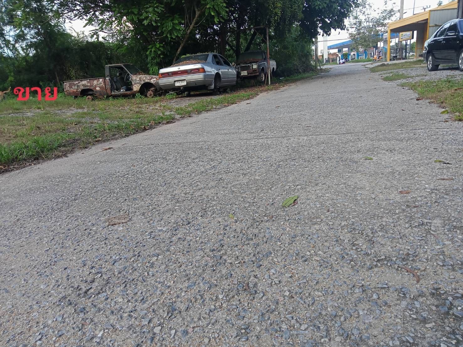 ขายที่ดินเปล่า 2 ห้อง (ถมที่แล้ว) ซอยโชคดี ตรงข้ามปั๊ม ปตท.