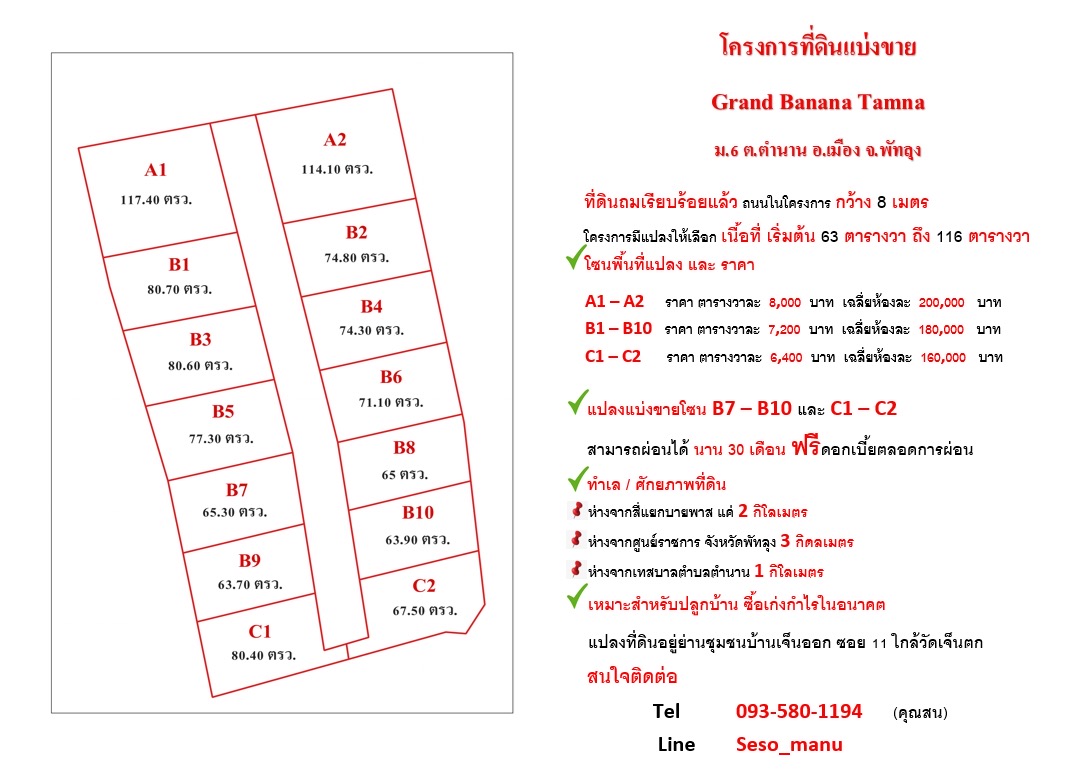 ขายที่ดิน 25-1-70 ไร่ ย่านชุมชนวัดเจ็นตก พัทลุง