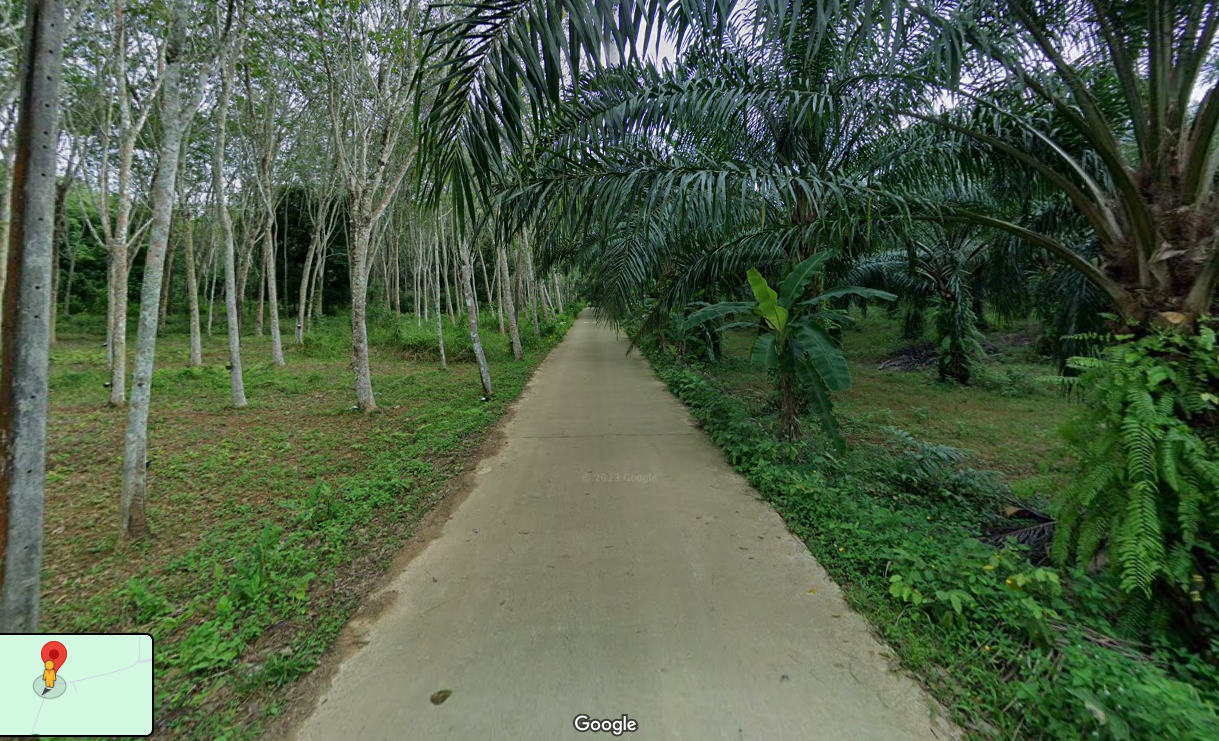 ขายที่ดินกระบี่ บรรยากาศดี แปลงสวย ใกล้โรงเรียนหนองทะเลวิทยา 0-2-95