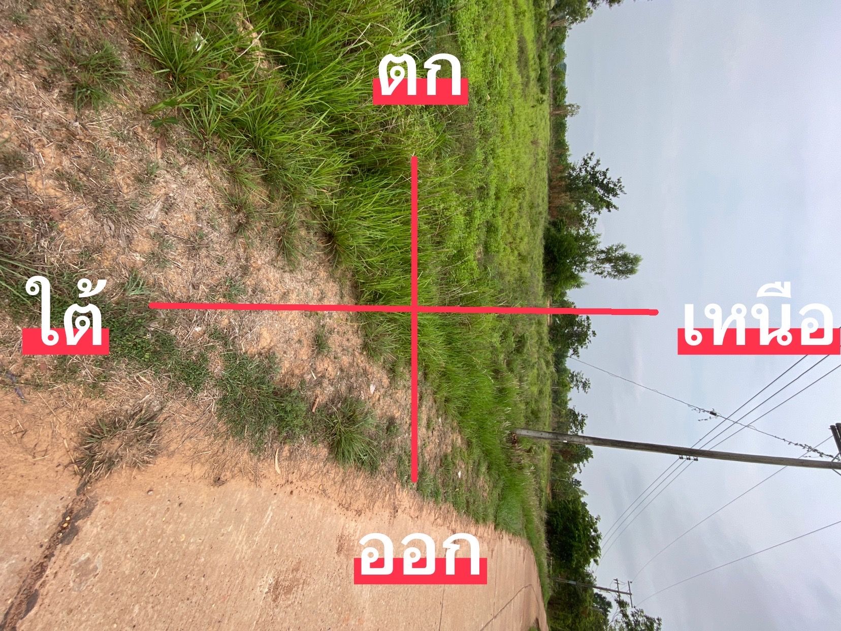 ขายเอง เลิงนกทา จังหวัด ยโสธร เนื้อที่ 9 ไร่ 0 งาน 11.0 ตารางวา