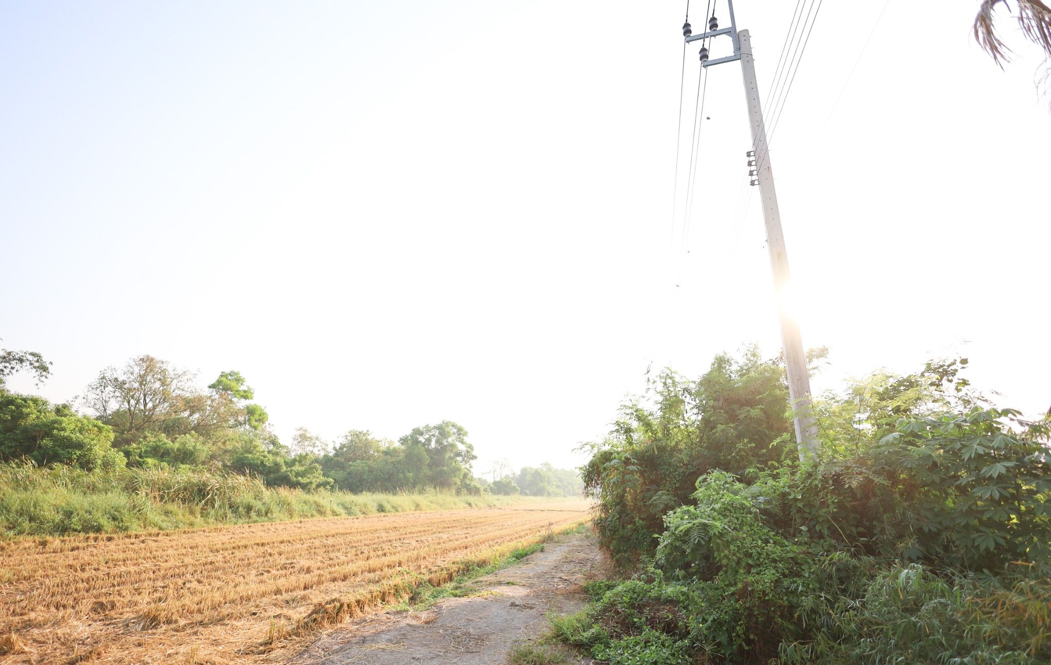  แปลงสวย ใกล้ สน.ประชาสำราญ ที่ดินทำเลดี เข้าซอยเพียง 800 เมตร เท่านั้น