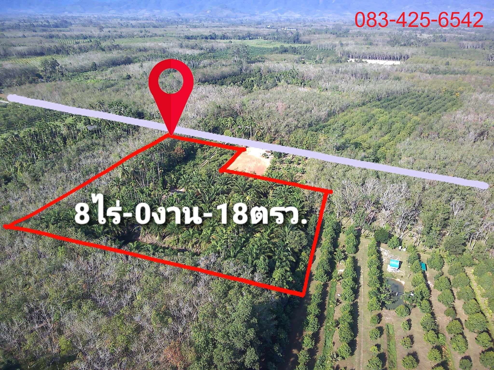 ขายที่ดินนครศรีธรรมราช ใกล้ชุมชน เหมาะลงทุนทำสวนทุเรียน&ผสม นบพิตำ นครศรีฯ 8-0-18
