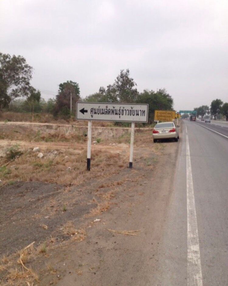 ขายที่ดินชัยนาท มโนรมย์ ติดถนน สี่เลน