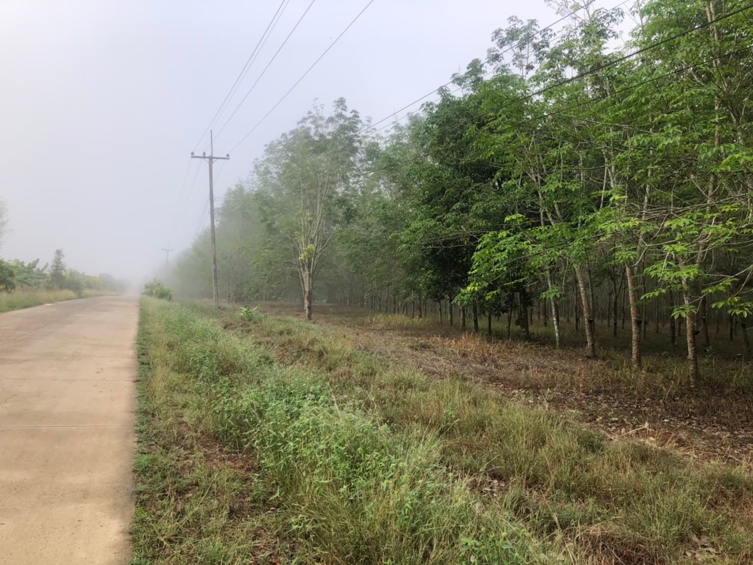 ที่ดินเปล่า จันทบุรี