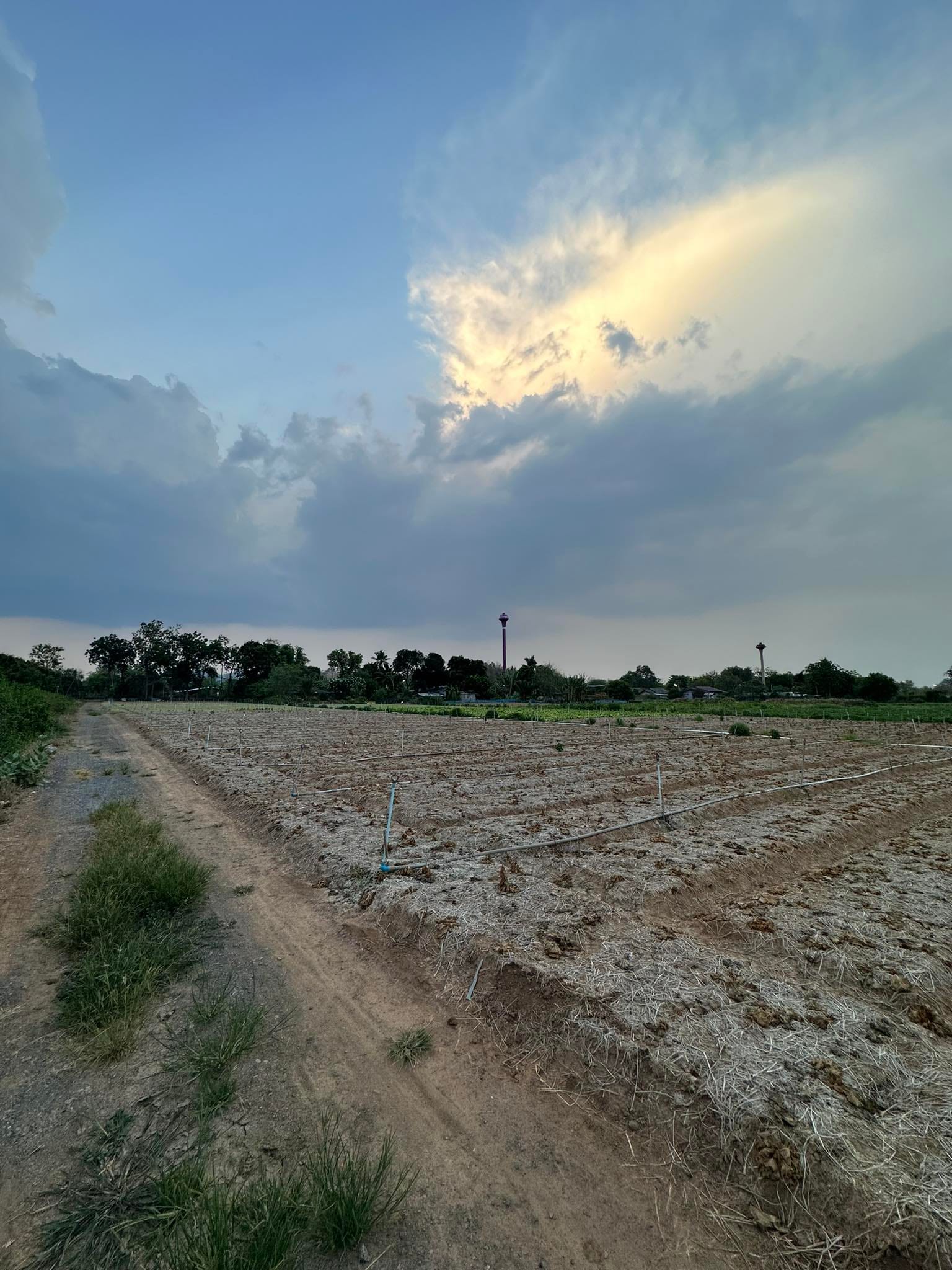 บ้านพร้อมที่ดิน