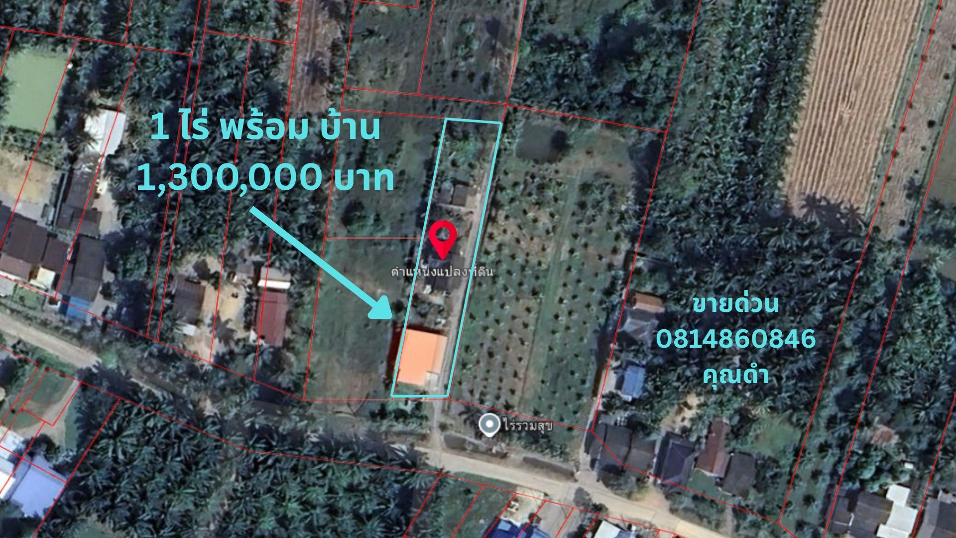 ขายด่วน! บ้านพร้อมที่ดิน 1 ไร่ สามร้อยยอด เพียง 1.3 ล้าน