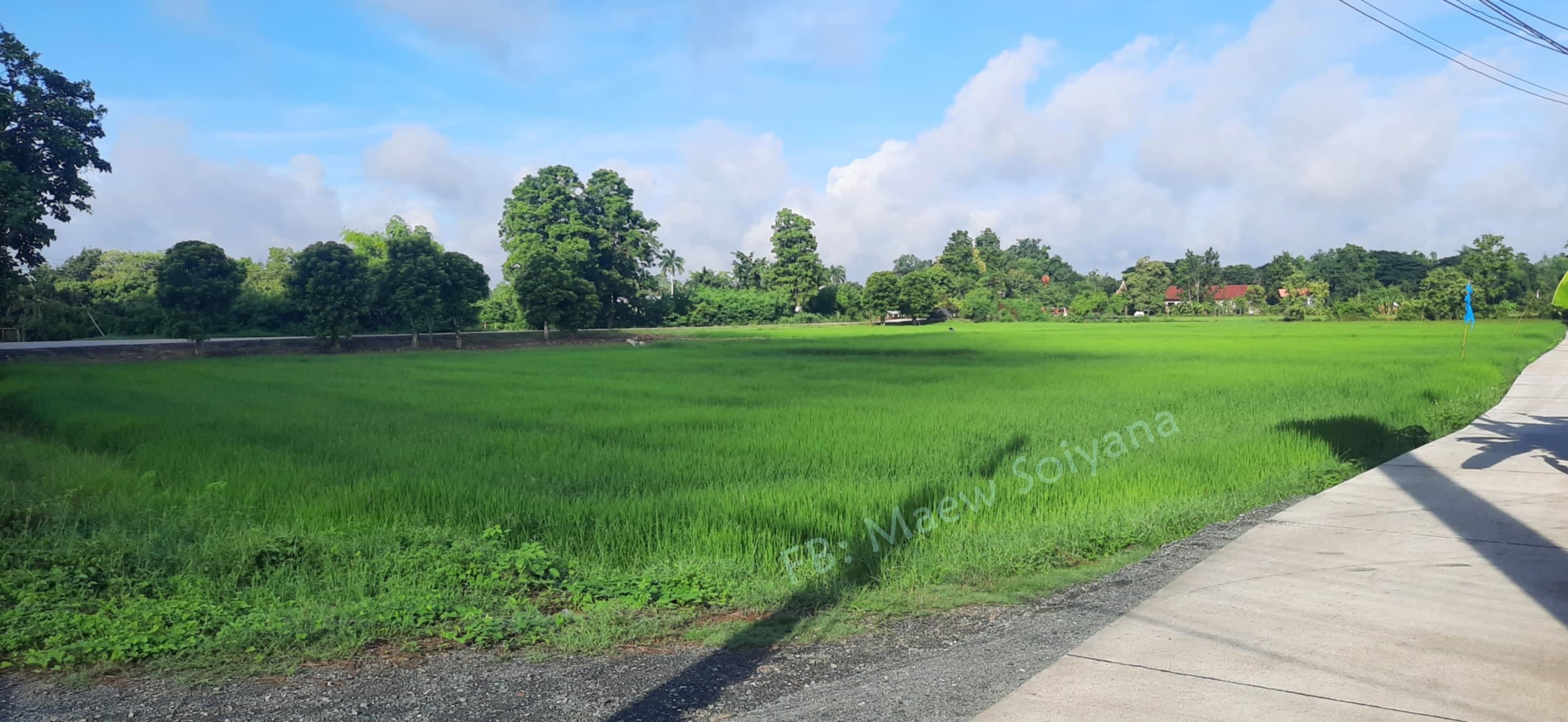 ที่ดินสวย ทำเลดี ราคางาม @ต.บวกค้าง อ.สันกำแพง จ.เชียงใหม่