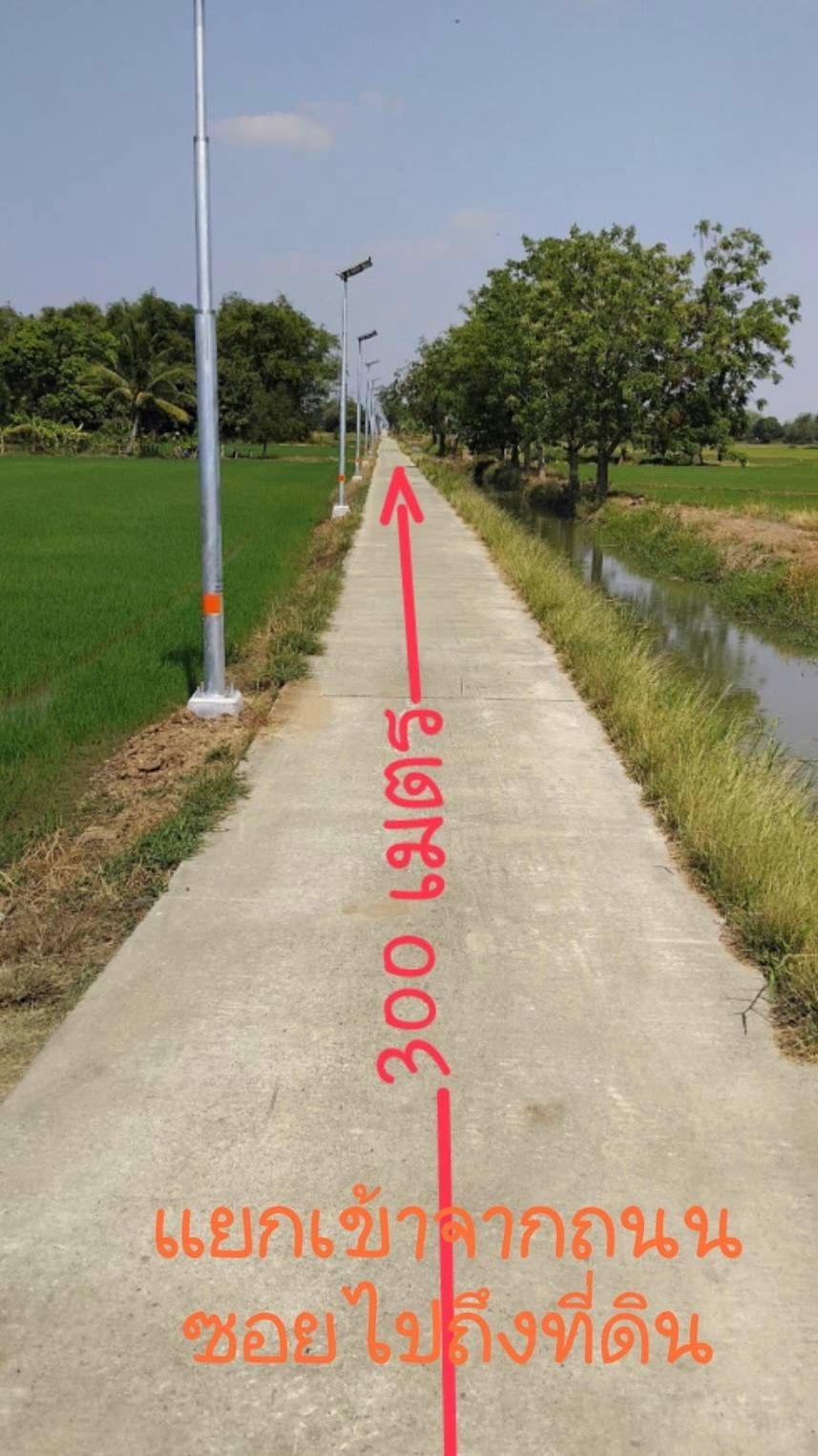 'Asset' ที่พร้อมเปลี่ยนเป็นความมั่งคั่งทันที:
