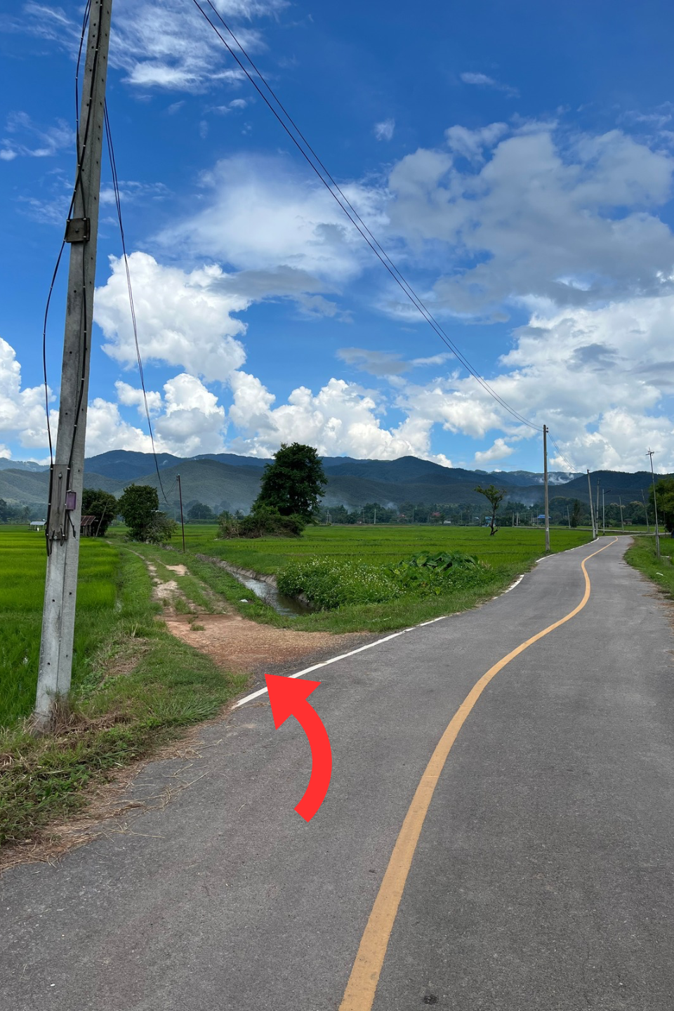 ขายที่นา