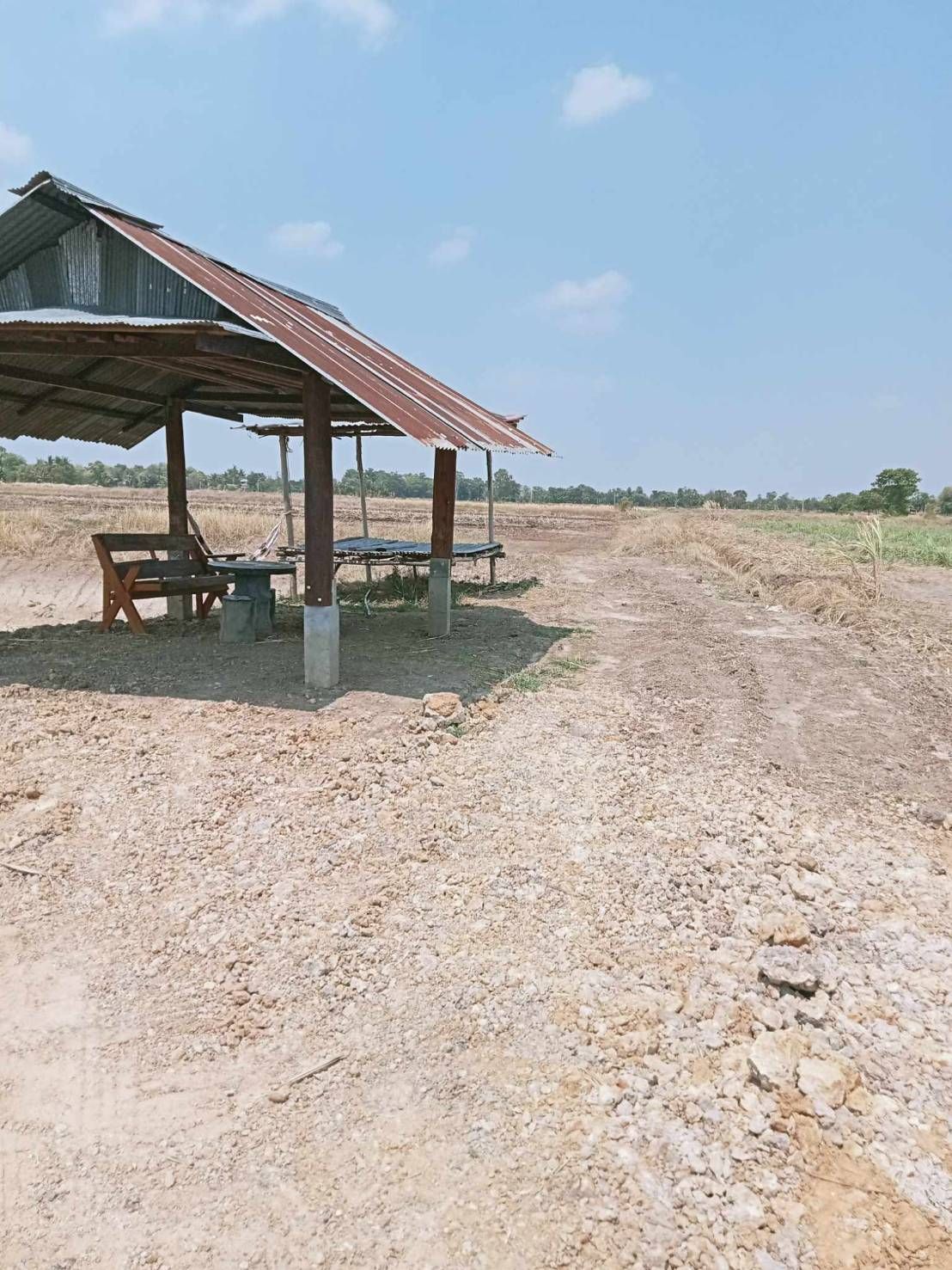 ขายที่นา มีน้ำ มีไฟฟ้า ถนนมีทางเข้า พิมาย นครราชสีมา