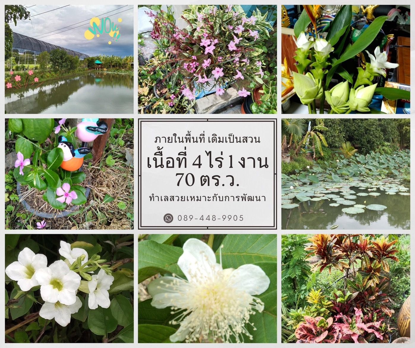 ขายที่ดินปทุมธานี อำเภอเมือง ที่ดินทำเลดี มีทางเข้า-ออก ใกล้ชุมชน ใกล้แหล่งอำนวยความสะดวก 