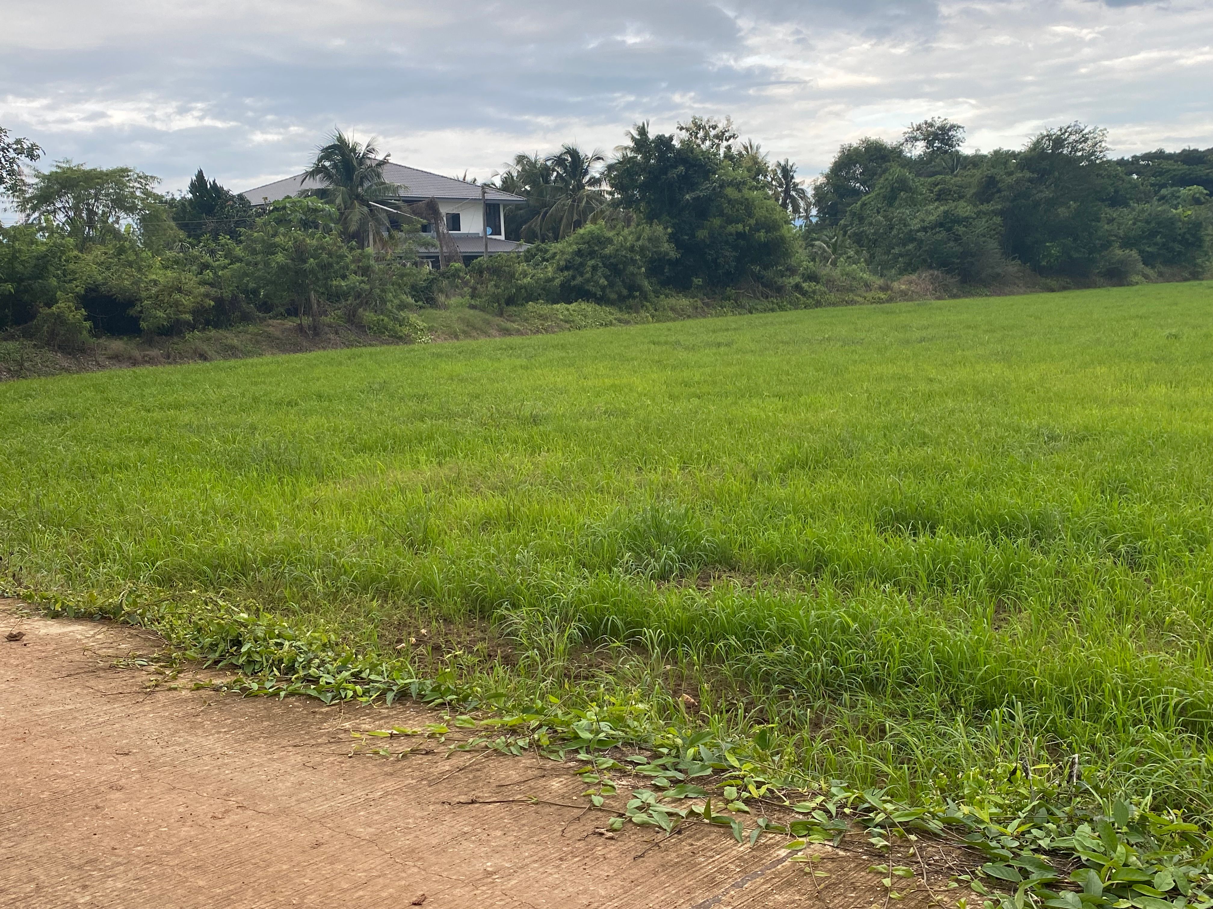 ขายที่ดินเพชรบูรณ์ อำเภอเมือง  ทำเลดี