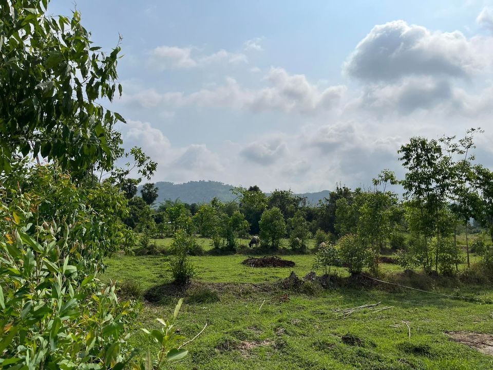 📍ขายที่ดินวิวเขานครนายก🌳เขาพระ 4ไร่เต็ม ถนนสาธารณะ 2 ด้าน เดินทางสะดวกจากกทม.เพียง 1.30 นาที