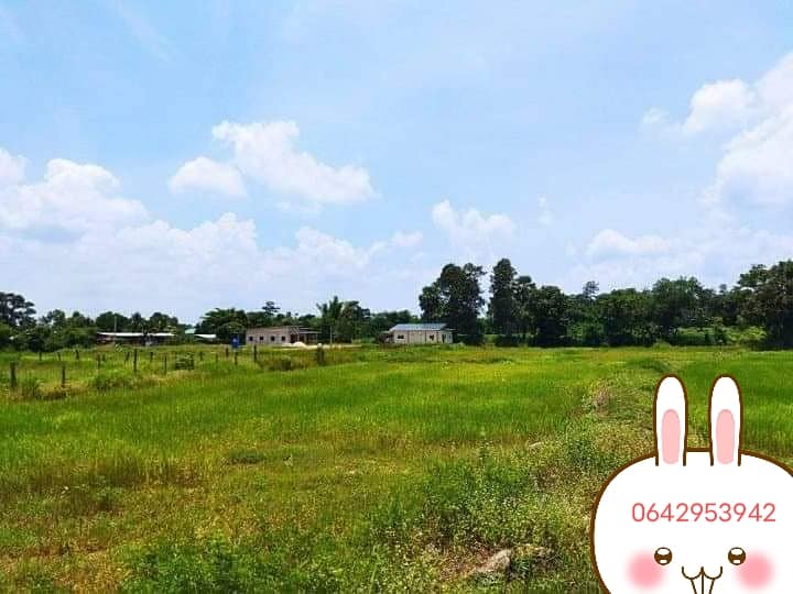 ที่ดินทำเลทอง หลัง ม.ราชภัฏชัยภูมิ 9-0-50