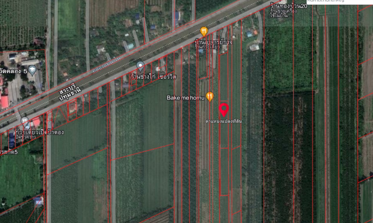 ขายที่ดินปทุมธานี หนองเสือ 2-0-0