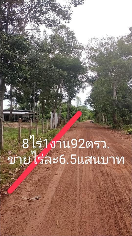 ที่สวนเนื้อที่ 8 ไร่ 1 งาน 92 ตรว. อุบลราชธานี