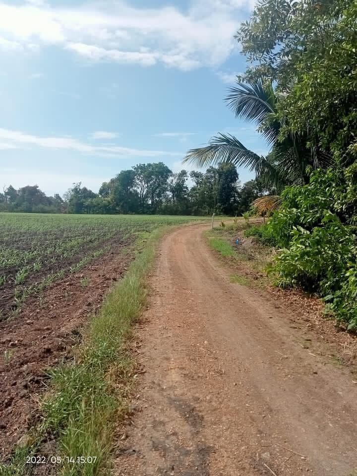ขายที่ดิน ต.กกโก อ.เมือง จ.ลพบุรี 23-0-36 ไร่
