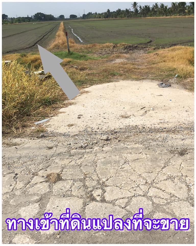 ขายที่่ดิน ลาดกระบัง กทม 21-0-83 ไร่