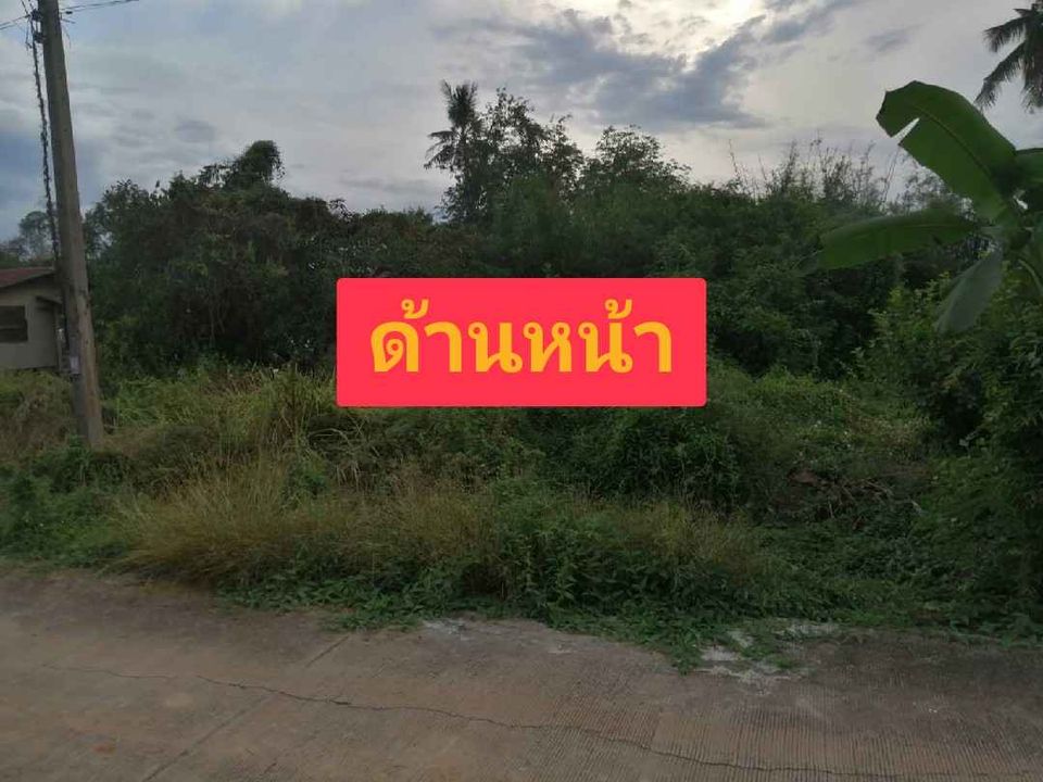 ที่ดินเปล่า ทำเลสวย พิษณุโลก 328 ตรว.