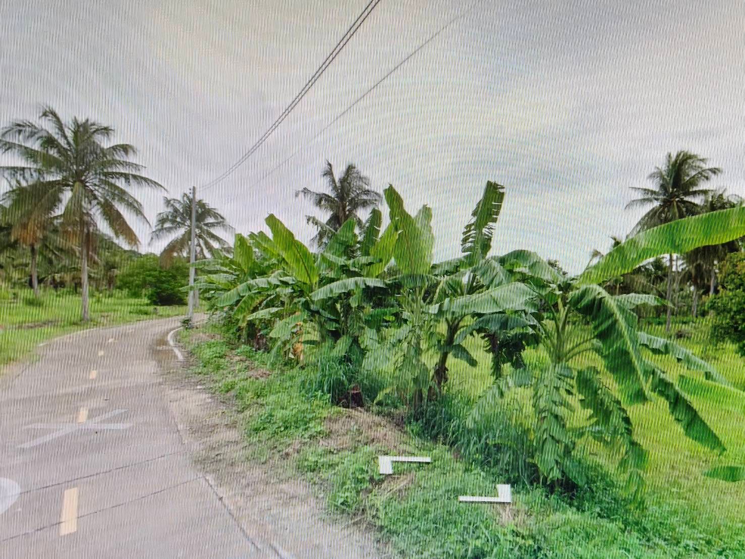 ขายที่ดินชลบุรี อำเภอบ้านบึง ต้องการขายที่ดินด่วน