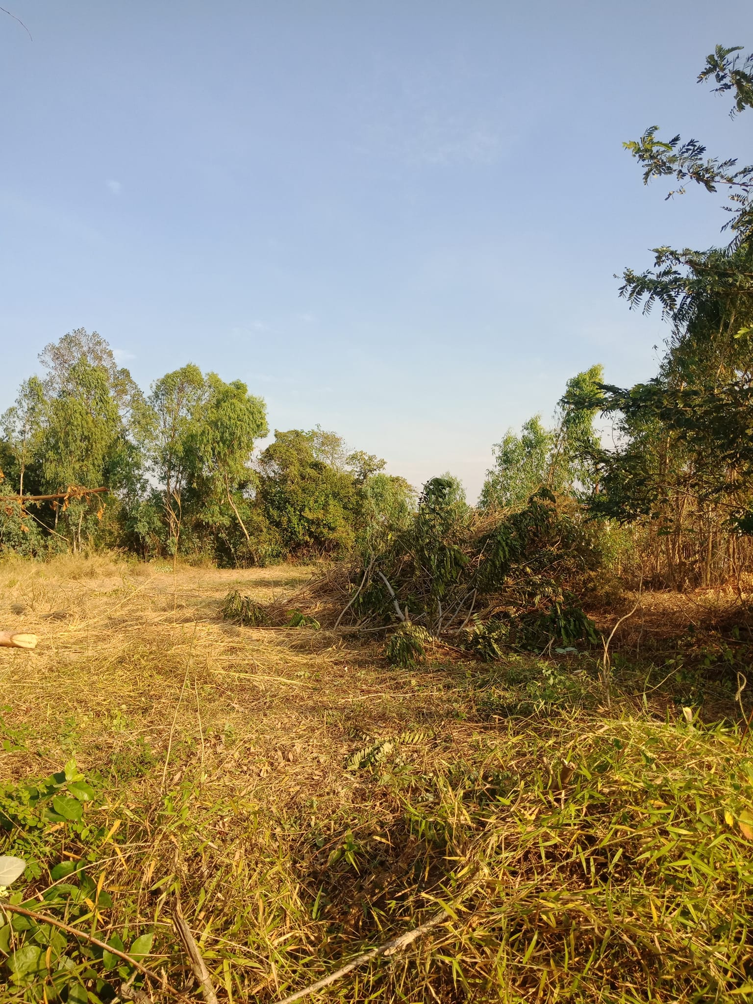 ขายที่ดิน ร้อยเอ็ด 0-2-41.2 ไร่