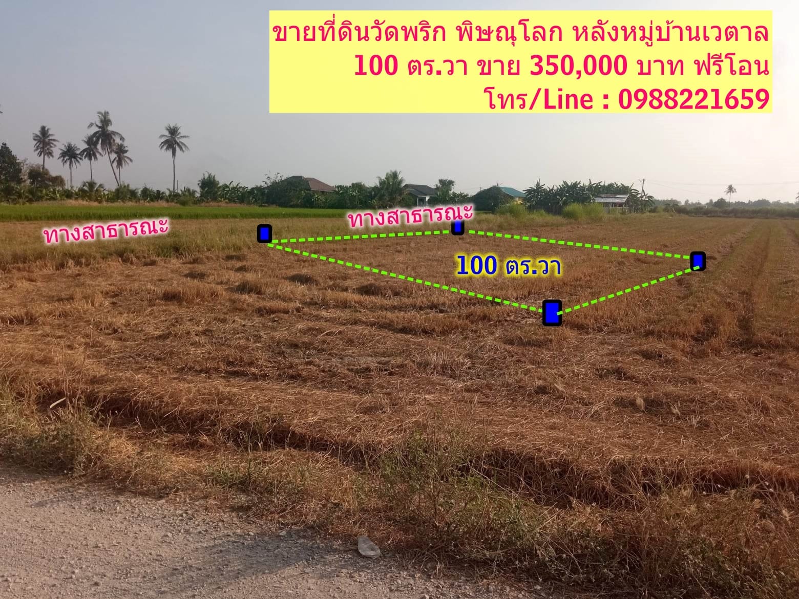 ที่ดินเปล่า 100 ตร.วา วัดพริก พิษณุโลก