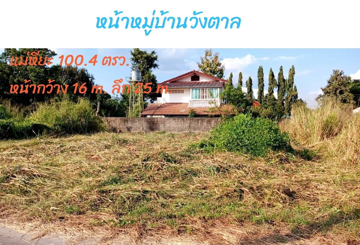 ขายที่ดินเชียงใหม่ แปลงสวย ทำเลงาม การเดินทางสะดวก ใกล้แหล่งอำนวยความสบายรอบด้าน เมืองเชียงใหม่ 0-1-0.4 ไร่.