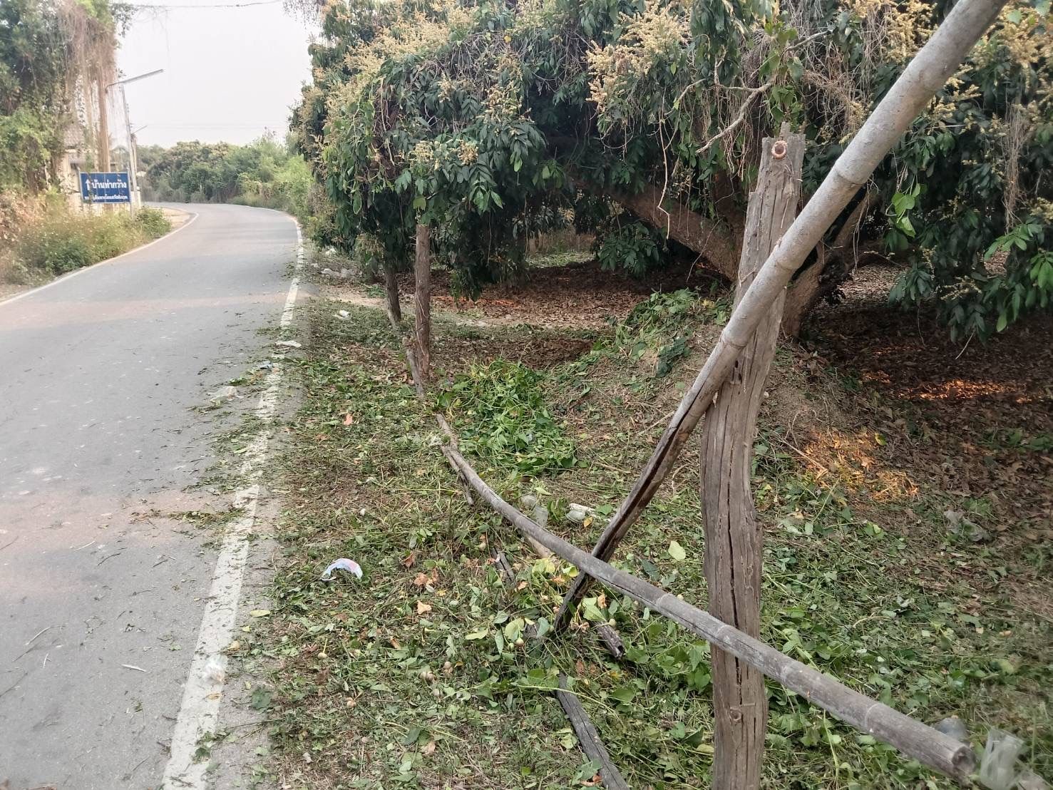 ที่ดินเปล่า อ.เมือง ลำพูน 161 ตร.ว.