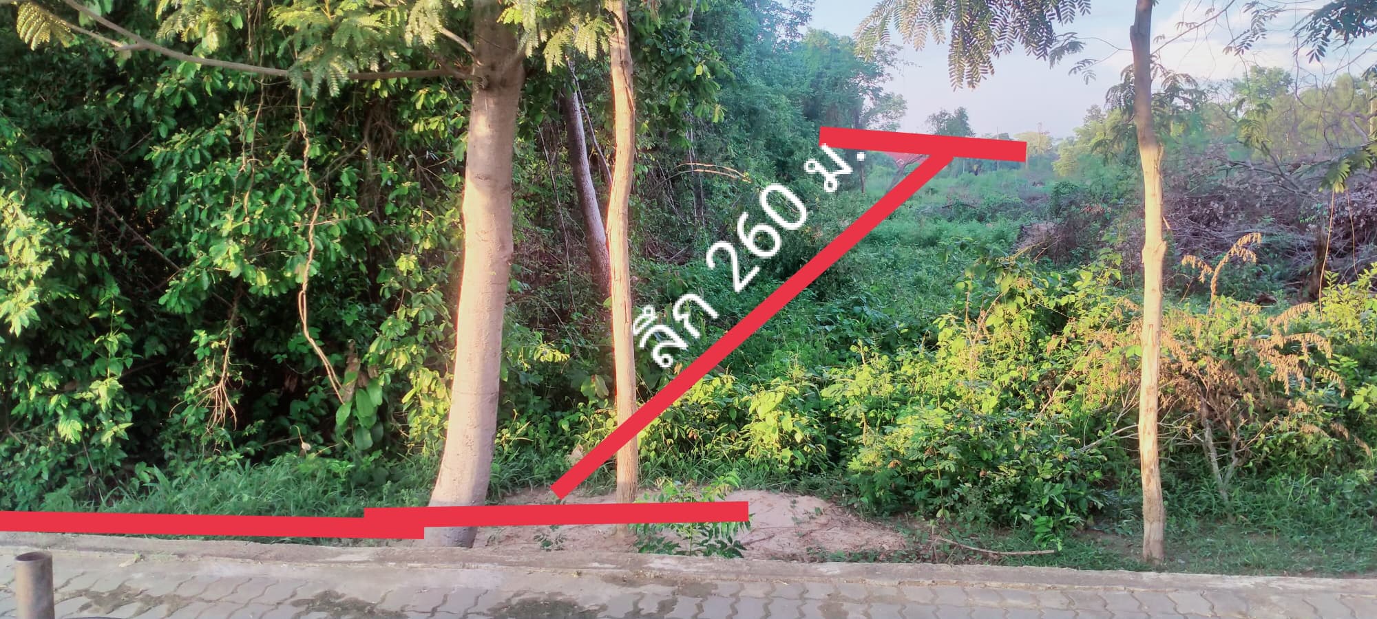 ที่ดินแปลงใหญ่ อุบลราชธานี 9-2-54.1