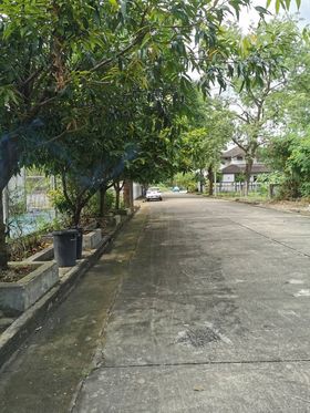 ที่ดิน ซอยราชพฤกษ์ 28 กทม 113 ตร.ว