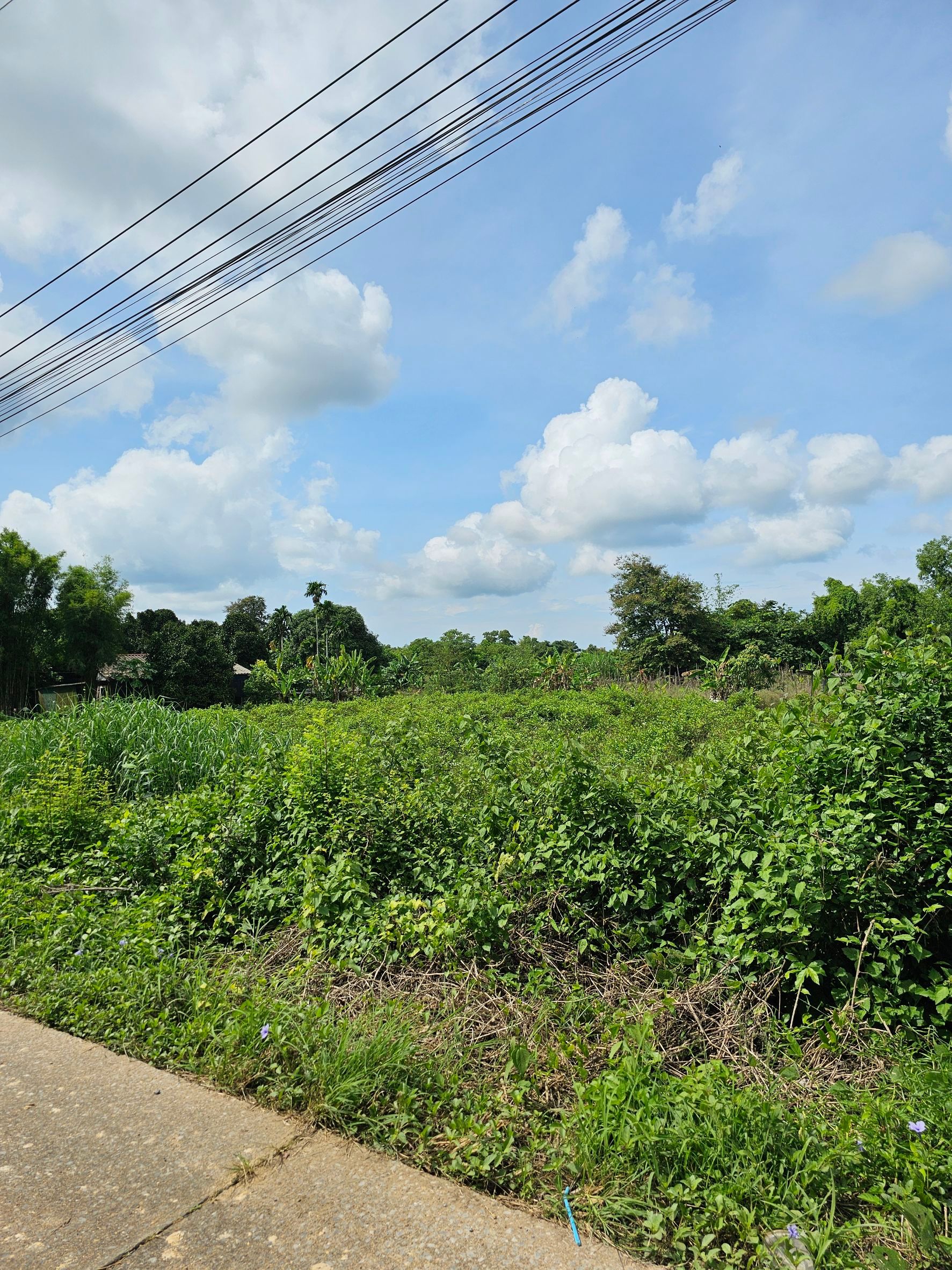 ขายที่ดินจันทบุรี อำเภอขลุง ที่แปลงสวย ทำเลงาม บรรยากาศดี 