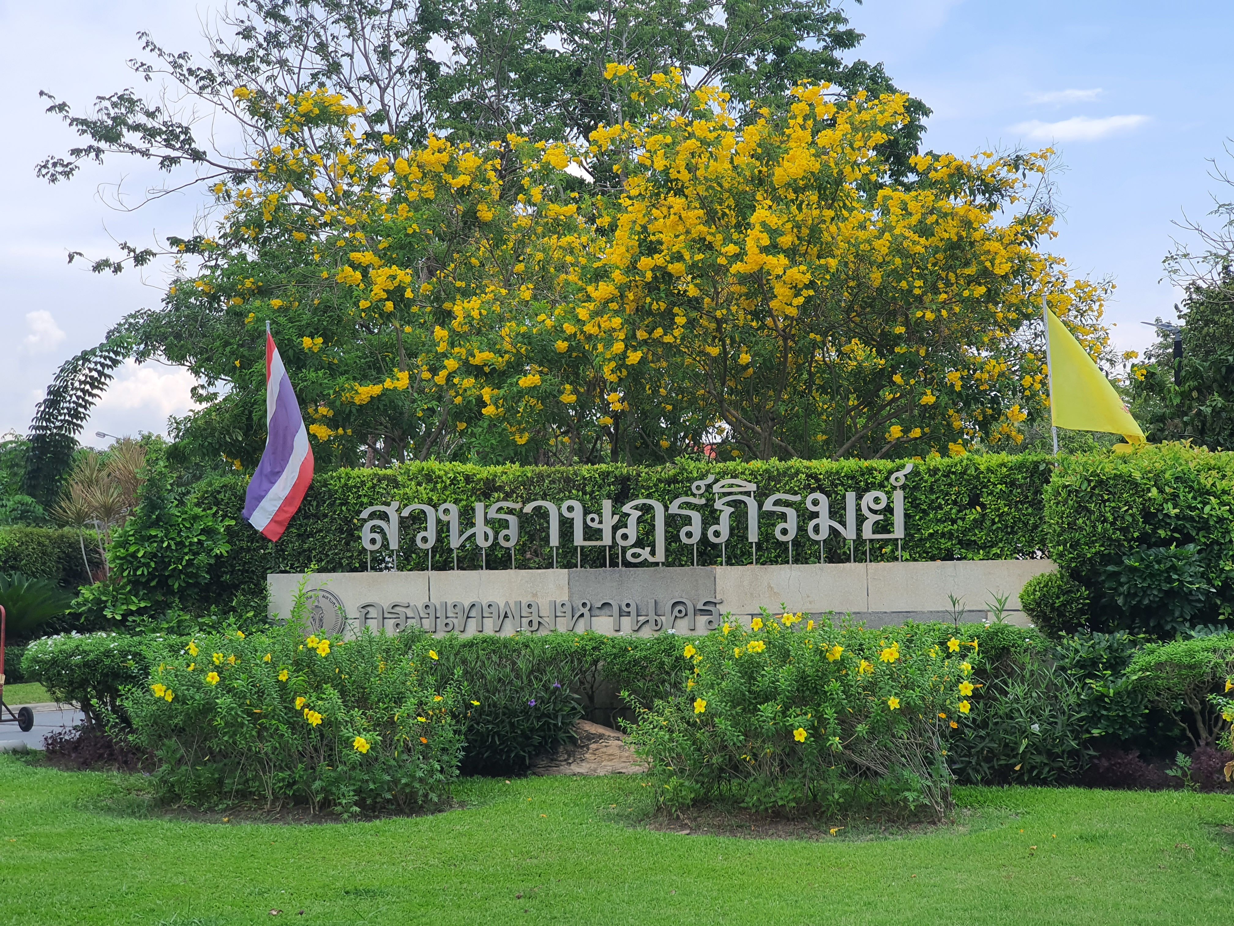 ที่ดินหนองจองพื้นที่สีเขียว