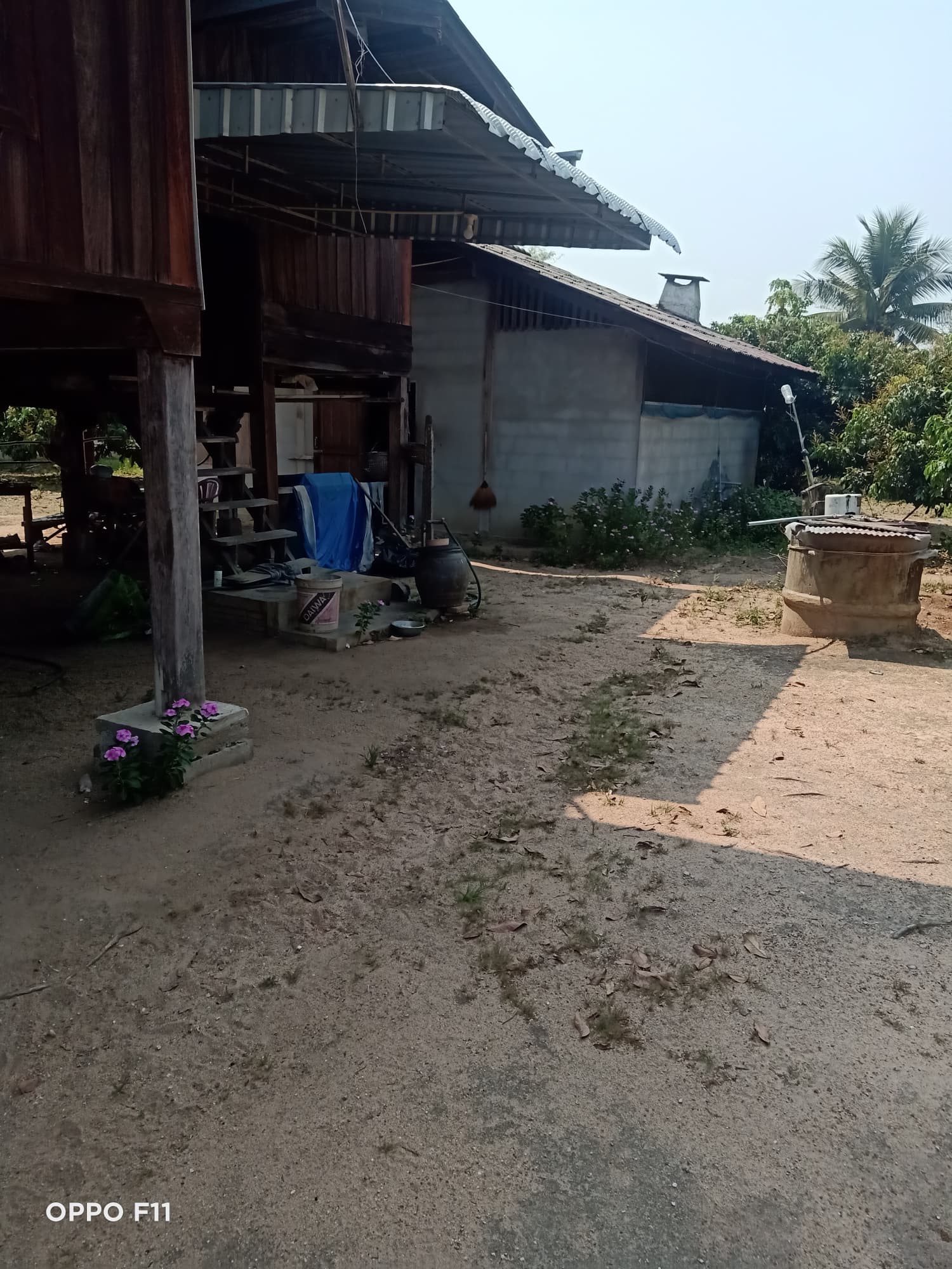 ขายบ้านไม้สัก พร้อมที่ดิน  อ.พร้าว จ.เชียงใหม่ 1-0-52 ไร่