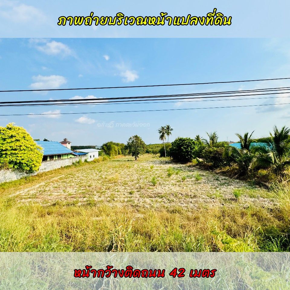 ขายที่ดินระยอง ขายที่ดินนิคมพัฒนา