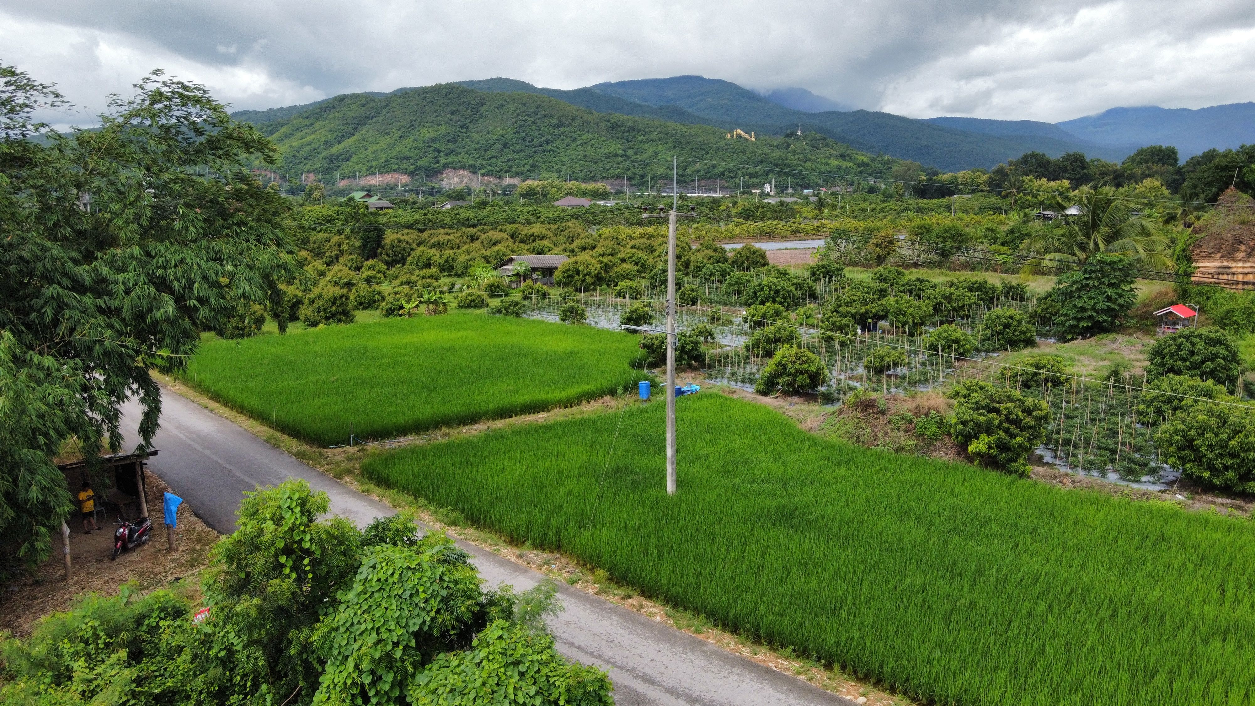 ที่ดินติดน้ำปิงเชียงใหม่ หน้าติดน้ำ หลังติดเขา