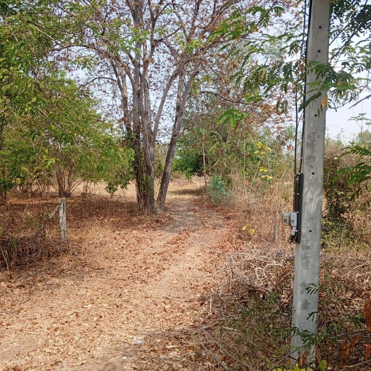 ขายที่ดิน 7 ไร่ กาญจนบุรี