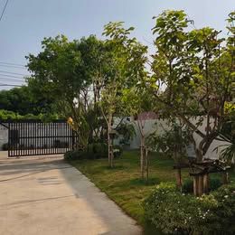 ขายบ้านสร้างใหม่- รามอินทรา19  หนึ่งชั้น 3น3น /โซนออฟฟิศ 117ตรว  จอดรถได้6 คัน ขาย 6.99 ลบ รามอินทรา19/21/23 สามารถเข้าออกได้หลายซอย