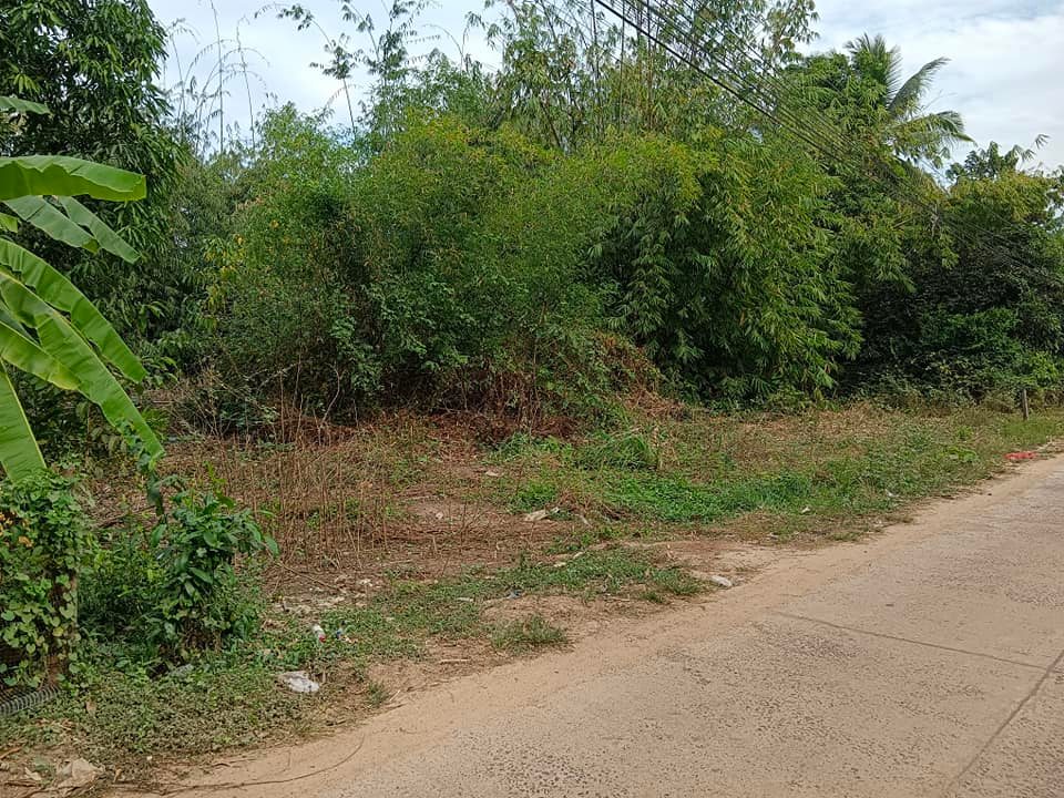 ที่ดินเหมาะแก่การปลูกที่พักอาศํย อุบลราชธานี 113 ตรว.