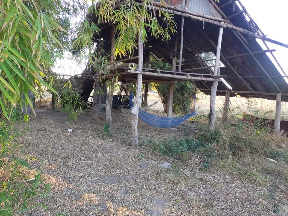 ขายที่ดิน กาฬสินธุ์ 4-1-75 ไร่