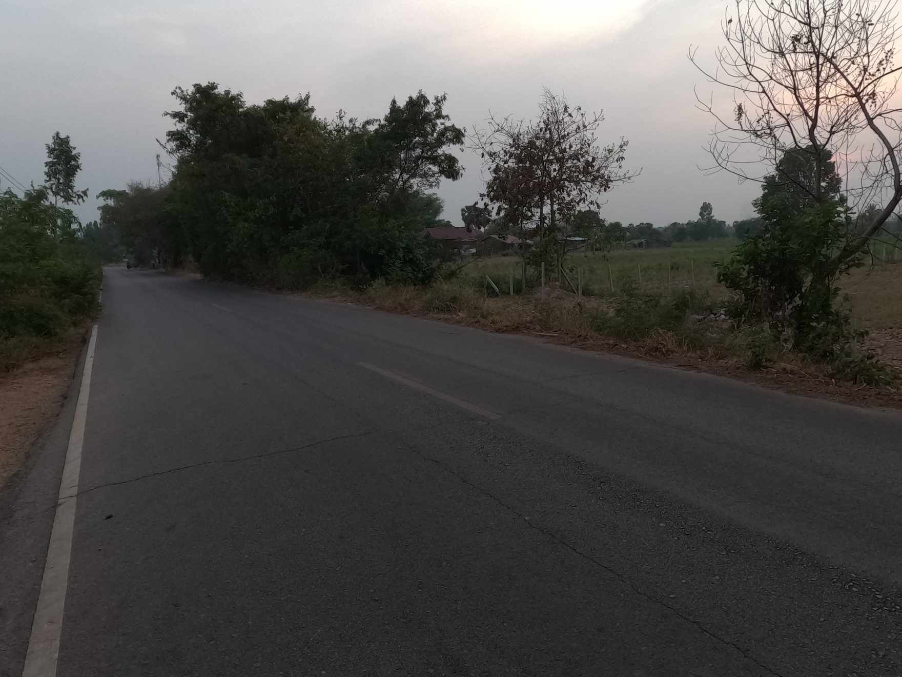 ขายมี่ดิน 19 ไร่ บ้านหนองบัวขาว