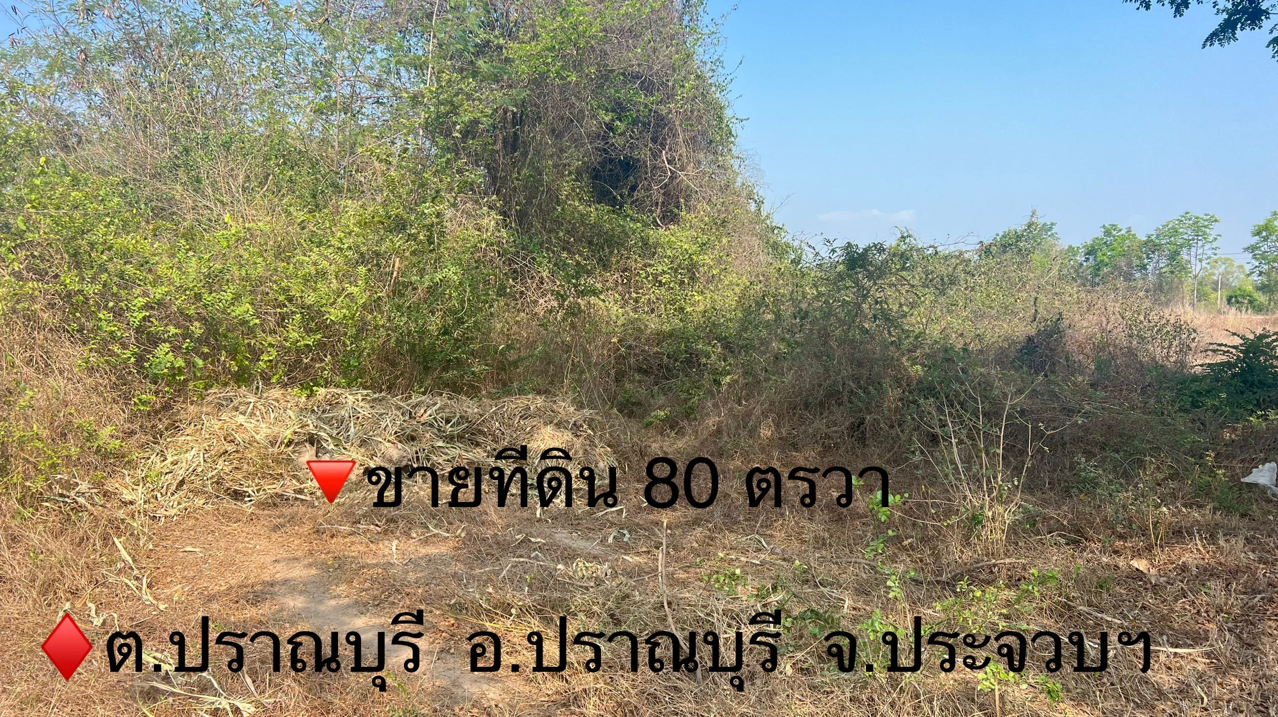 ขายที่ดินเปล่า 80 ตรว.  ปราณบุรี ประจวบคีรีขันธ์ 