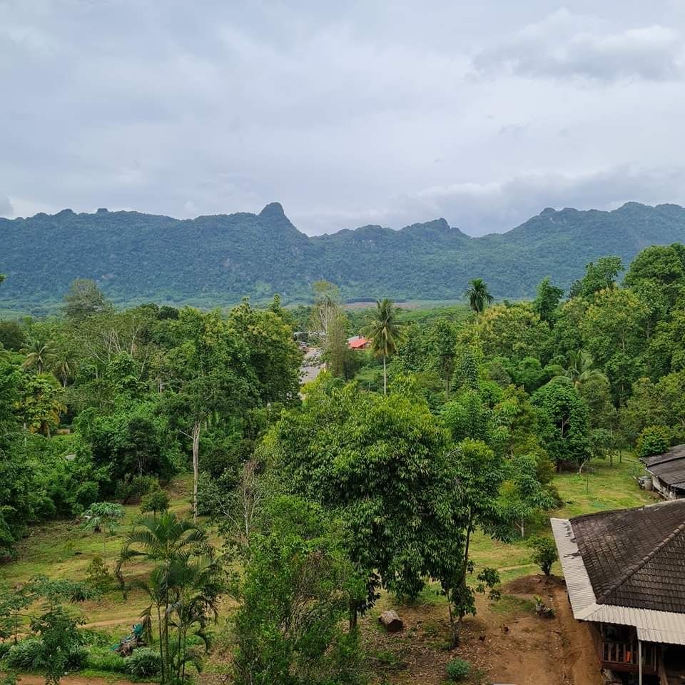ขายที่ดิน ติดริมถนนใหญ่ สาย3272 อ.ทองผาภูมิ 