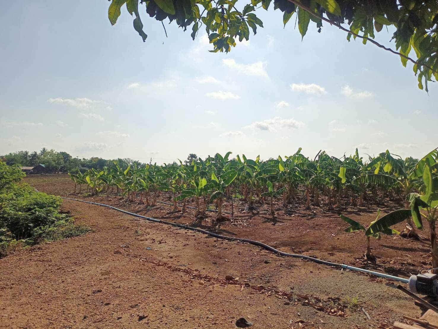 ที่ดิน10ไร่ ต.พุแค จ.สระบุรี