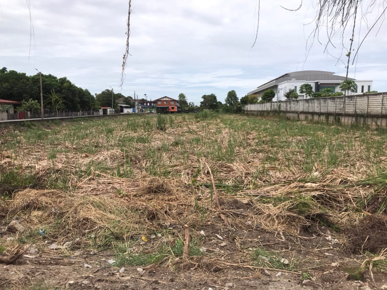 ที่ดินแปลงสวย ทำเลดี บางบัวทอง นนทบุรี 4-2-0