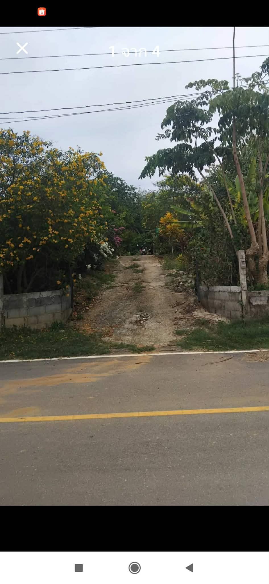 ขายที่ดินพร้อมบ้านหลังเล็ก